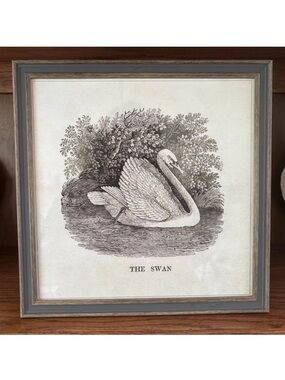 “The Swan” Framed Sketch Reproduction Framed 12” X 12”